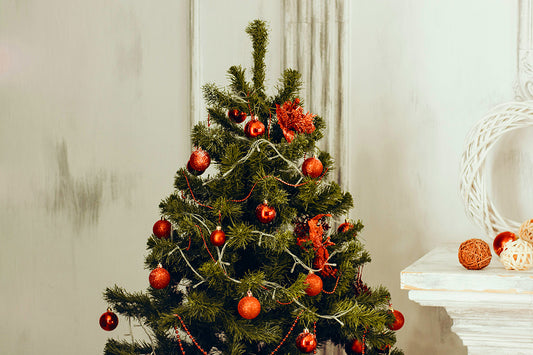 Cocoa, Blankets, & Classics: Crafting the Perfect Holiday Movie Marathon