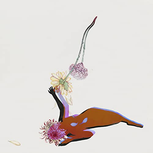 FUTURE ISLANDS - FAR FIELD