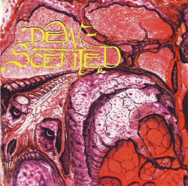 DEW SCENTED - IMMORTELLE (DIGIPAK)