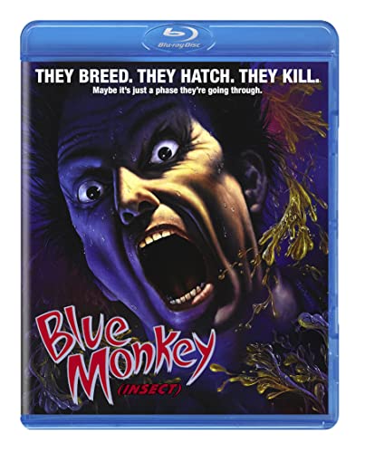 BLUE MONKEY (AKA INSECT) - BLU