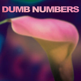 DUMB NUMBERS - ST