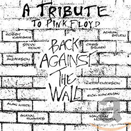 PINK FLOYD - TRIBUTE- BACK AGAINST THE WALL