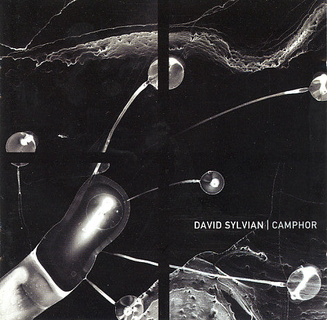 SYLVIAN, DAVID - CAMPHOR