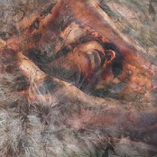 CONVERGE - UNLOVED & WEEDED OUT