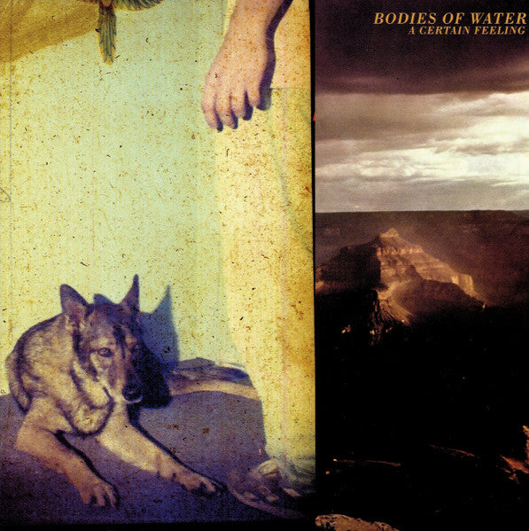 BODIES OF WATER - CERTAIN FEELING