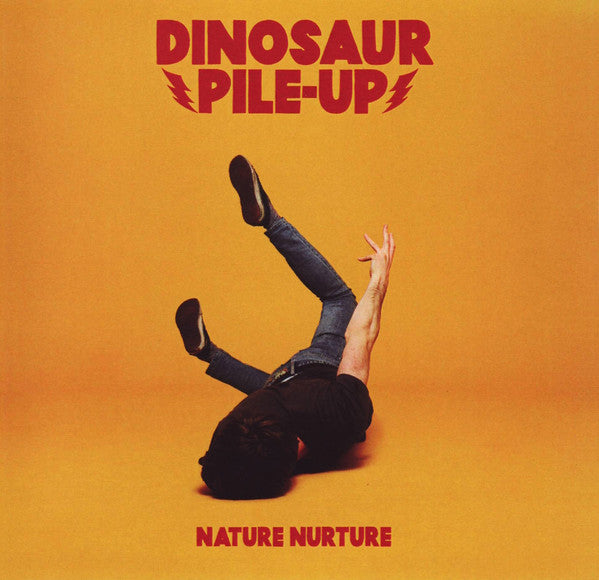 DINOSAUR PILE UP - NATURE NUTURE