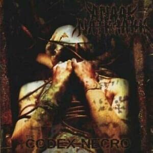 ANAAL NATHRAKH - CODEX NECRO/WHEN FIRE RAINS DO