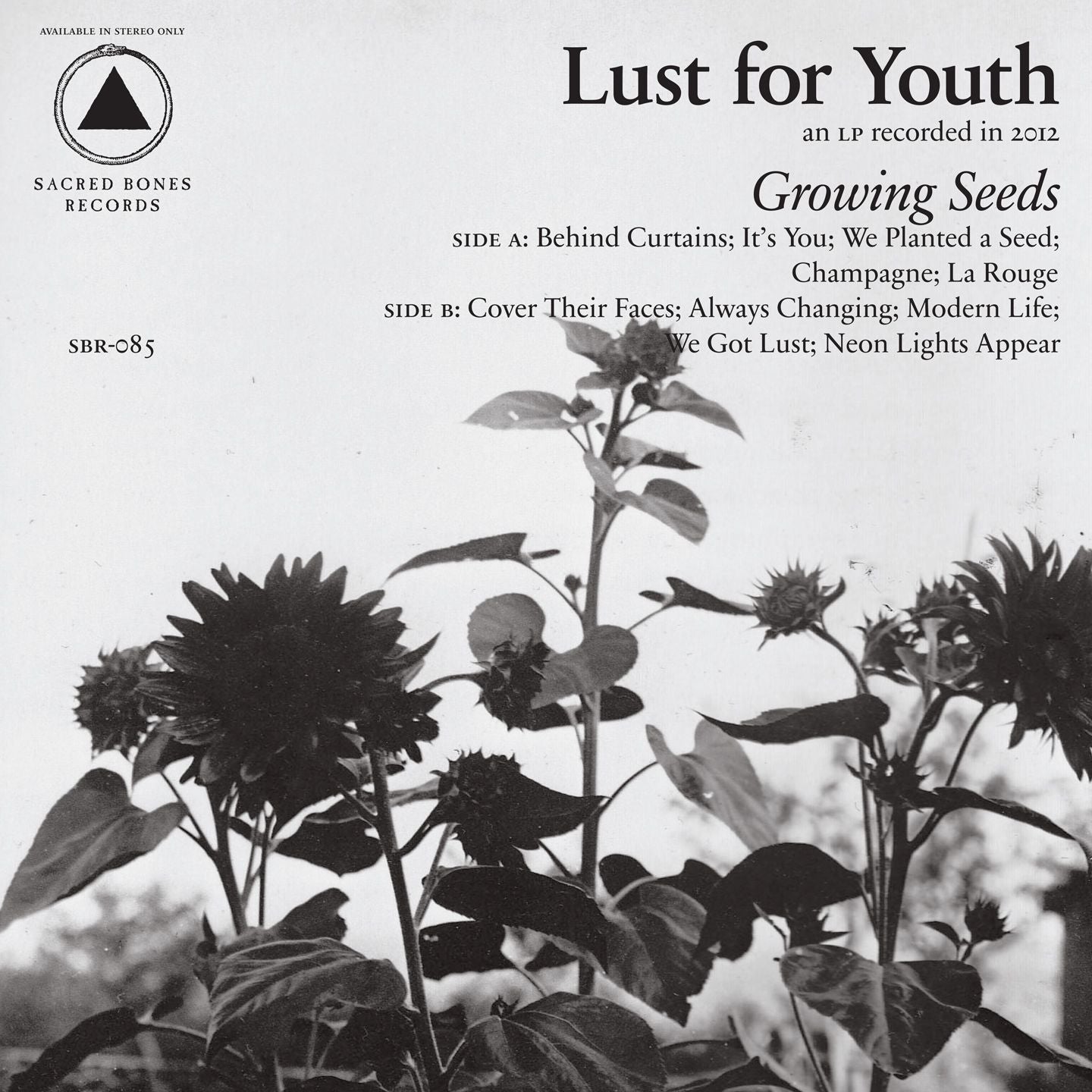 LUST FOR YOUTH - GROWING SEEDS