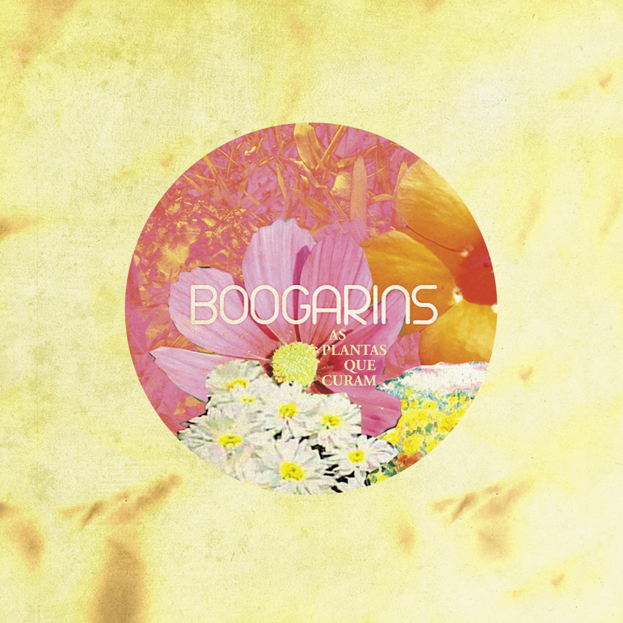 BOOGARINS - AS PLANTAS QUE CURAM