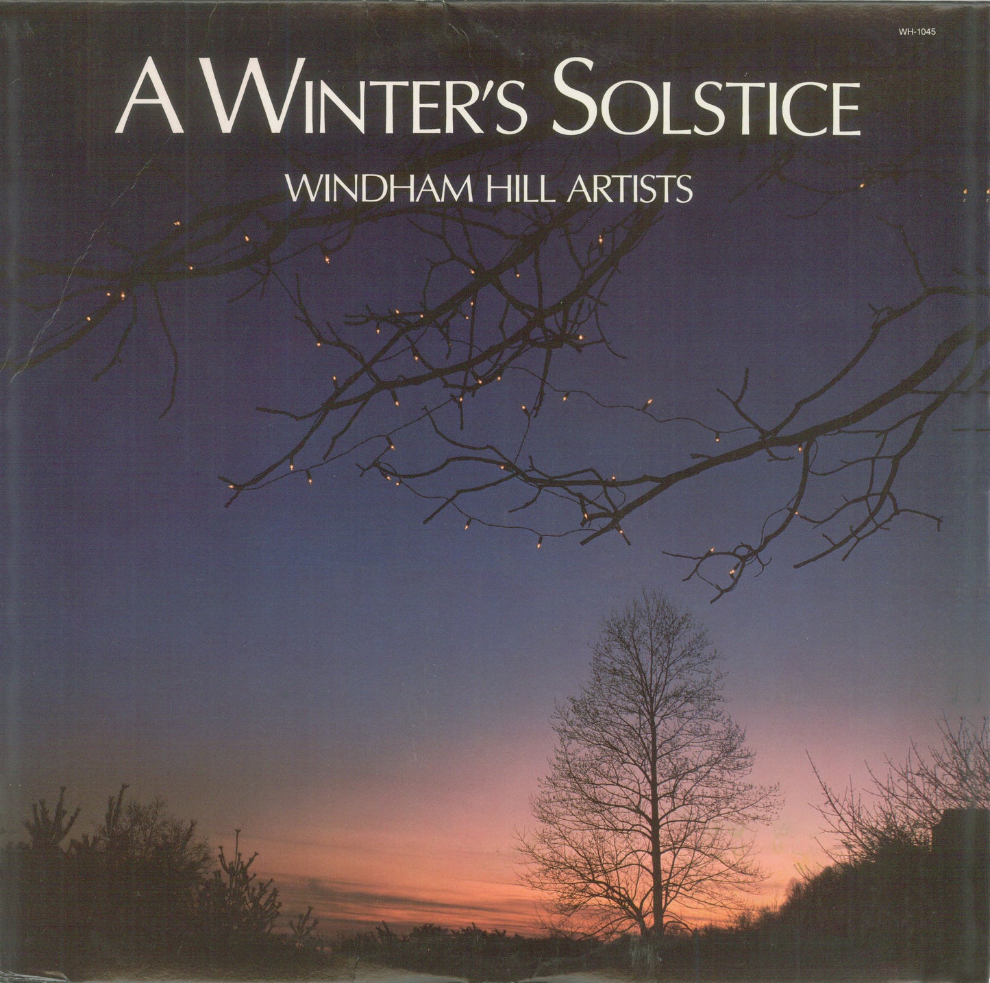 VARIOUS - A WINTER'S SOLSTICE