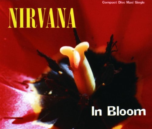NIRVANA - IN BLOOM - DIGIPAK