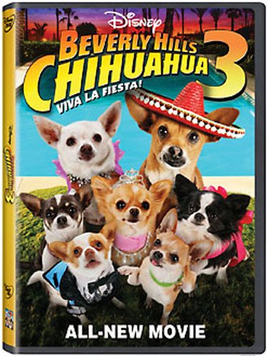 P - DVD