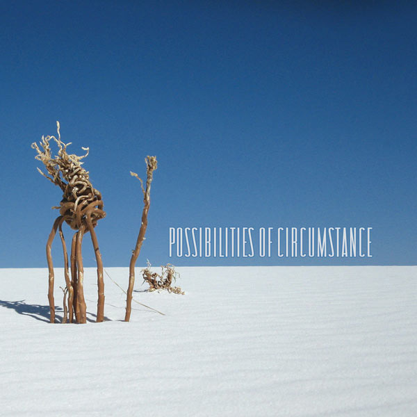 VARIOUS - POSSIBILITIES OF CIRCUMSTANCE