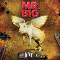 MR. BIG - WHAT IF