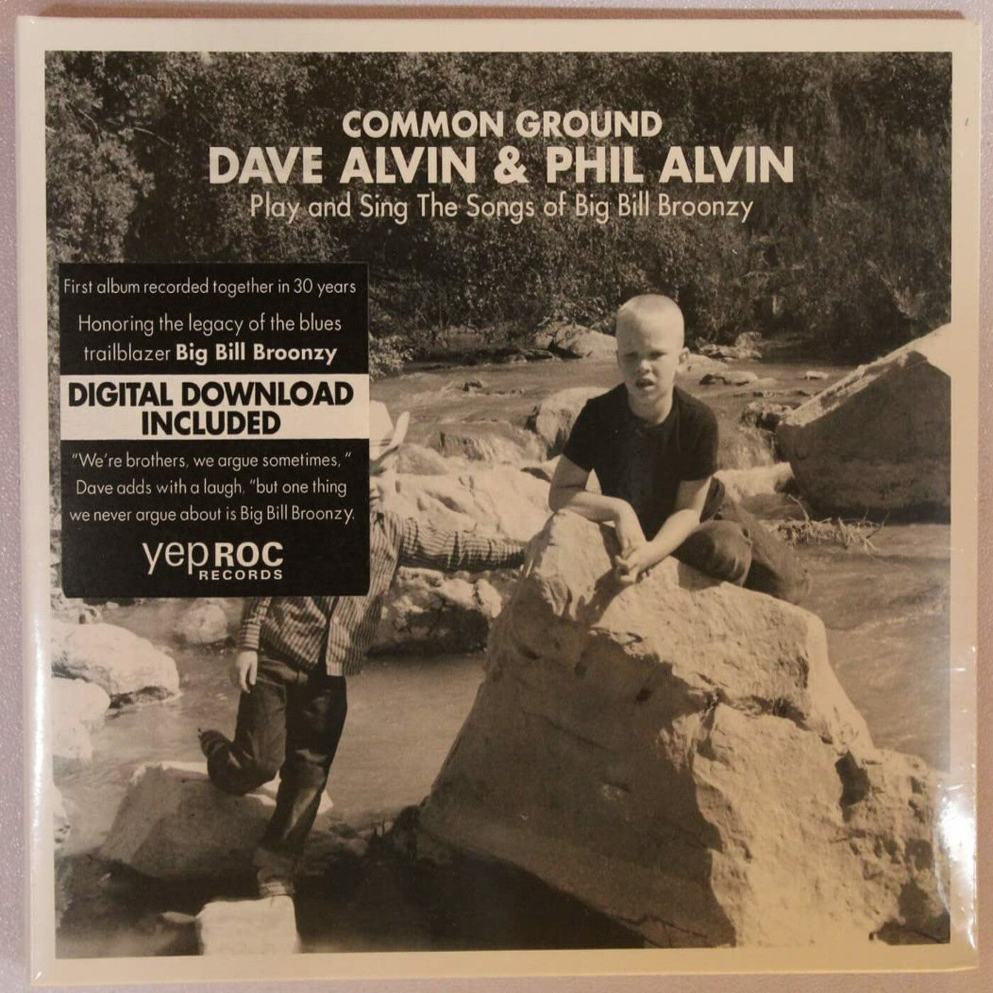 ALVIN, DAVE & PHIL ALVIN - COMMON GROUND: DAVE ALVIN + PHIL ALVIN PLAY AND SING THE SONGS OF BIG BILL BROONZY