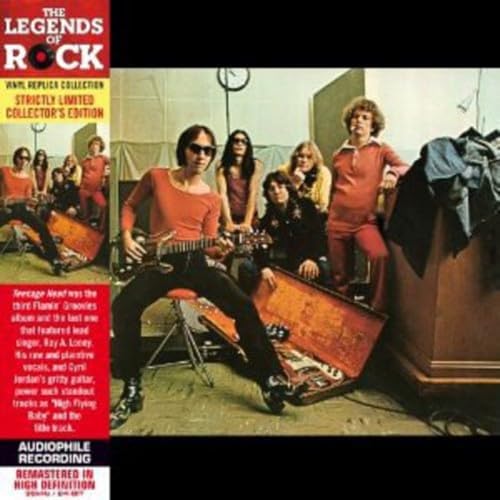 FLAMIN' GROOVIES - TEENAGE HEAD (REISSUE-VINYL PACKAGING)