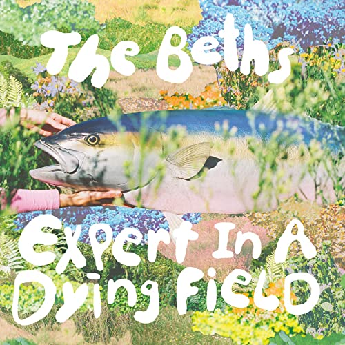 THE BETHS - EXPERT IN A DYING FIELD (CD)