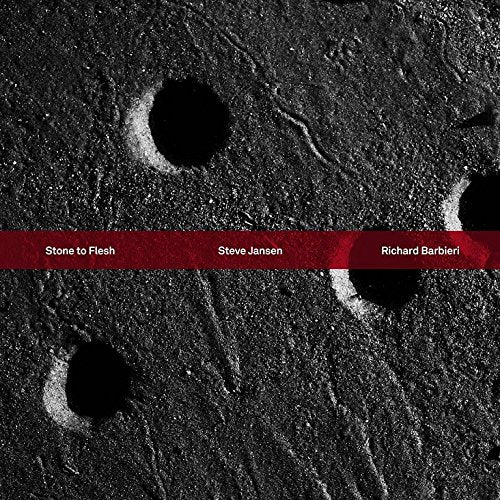 STEVE JANSEN & RICHARD BARBIERI - STONE TO FLESH