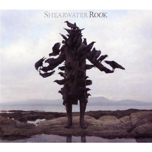 SHEARWATER - ROOK