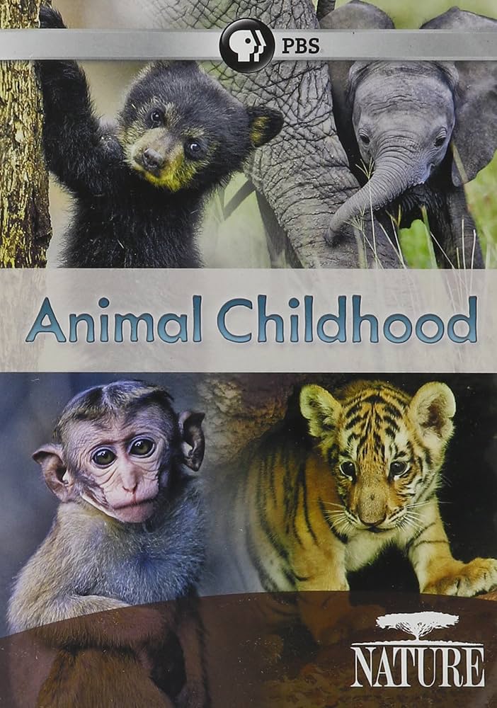 ANIMAL CHILDHOOD - DVD-NATURE (PBS)