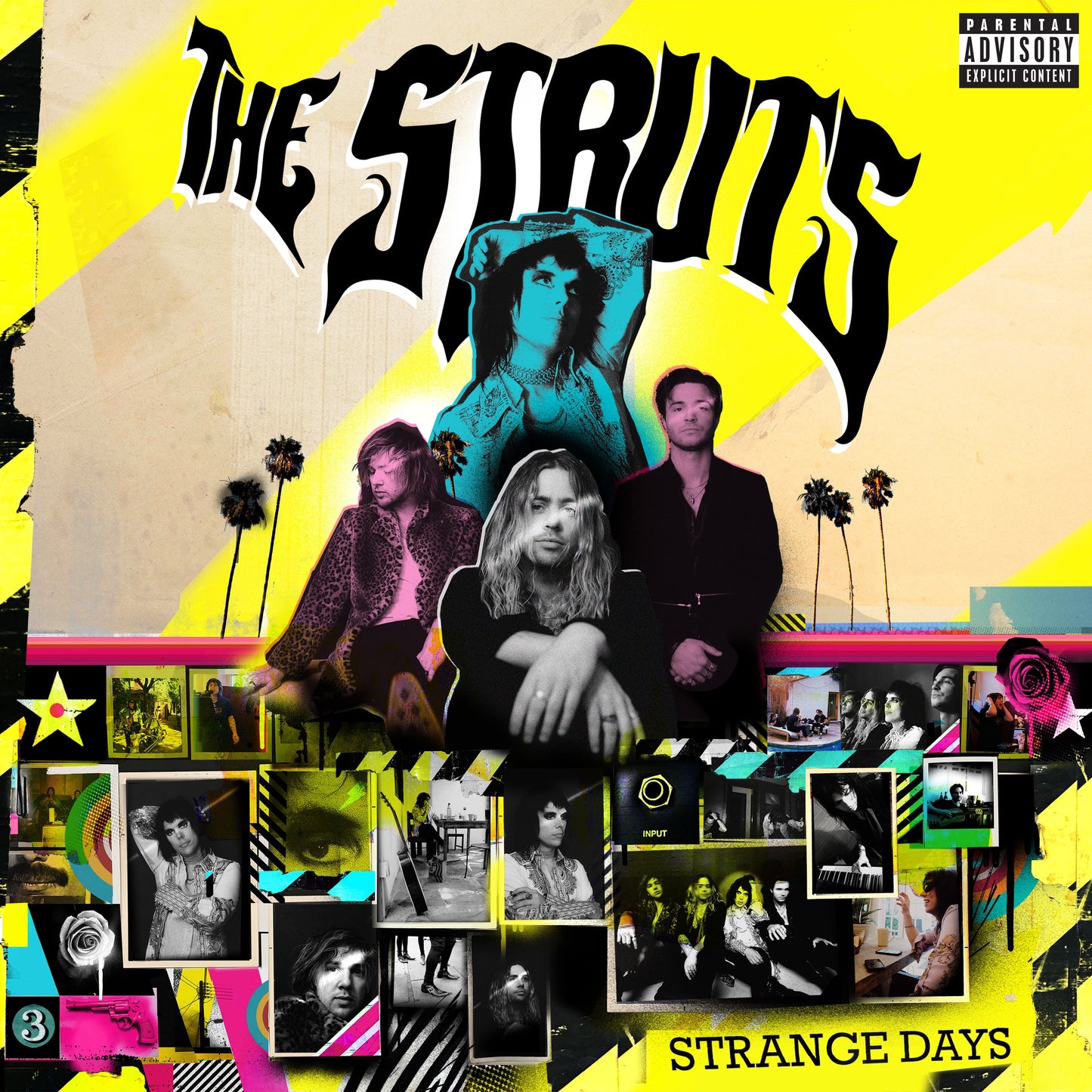 STRUTS - STRANGE DAYS
