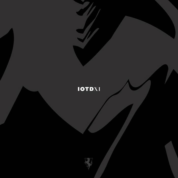 VARIOUS - IOTDXI