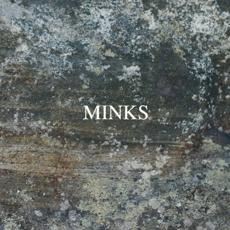 MINKS - BY THE HEDGE