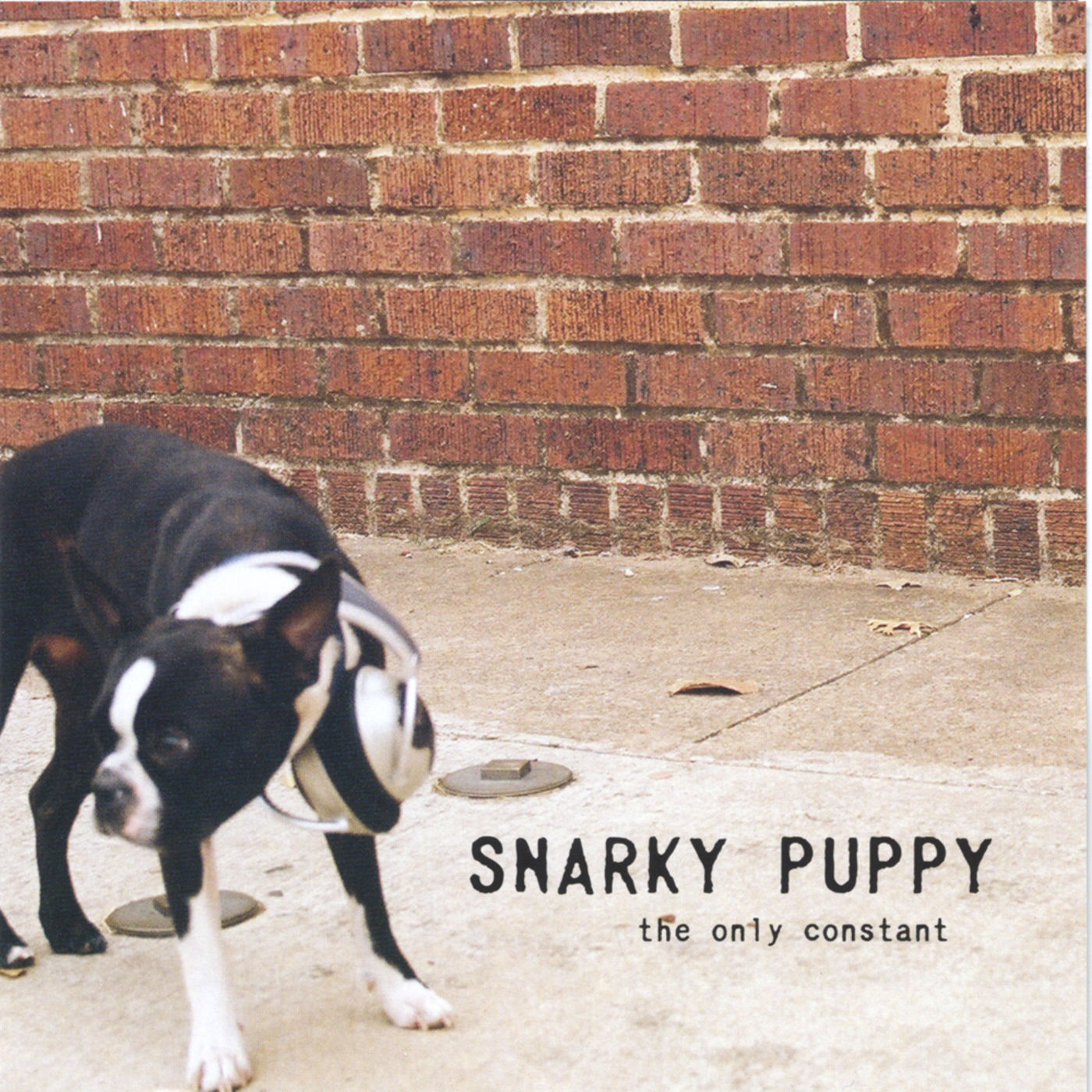 SNARKY PUPPY - ONLY CONSTANT