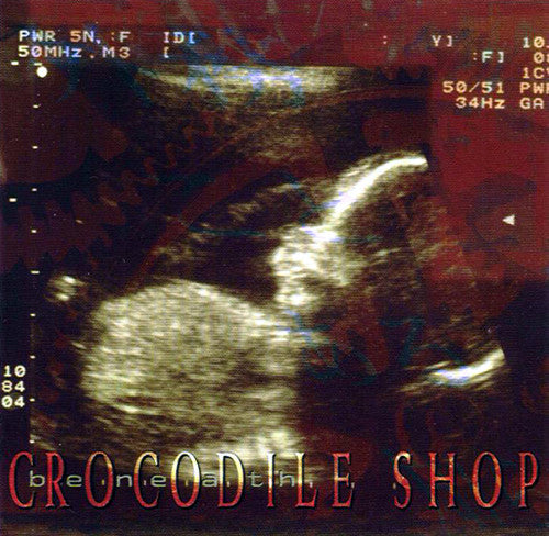 CROCODILE SHOP - BENEATH