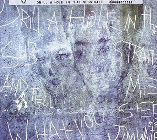 WHITE,JIM - DRILL A HOLE IN THAT SUBSTRATE ND TELL ME WHAT YOU (CD)