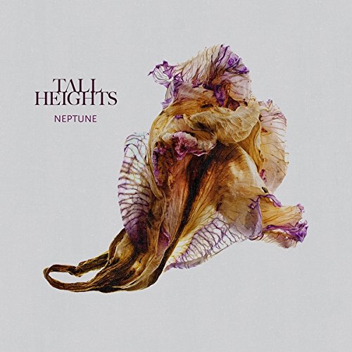 TALL HEIGHTS - NEPTUNE