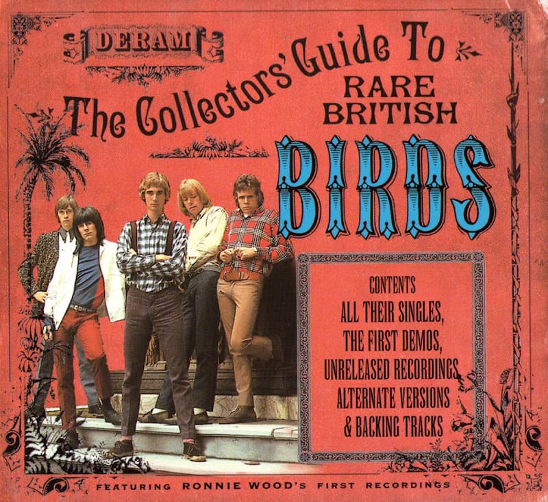 BIRDS - COLLECTOR'S GUIDE TO RARE BRITISH BIRDS