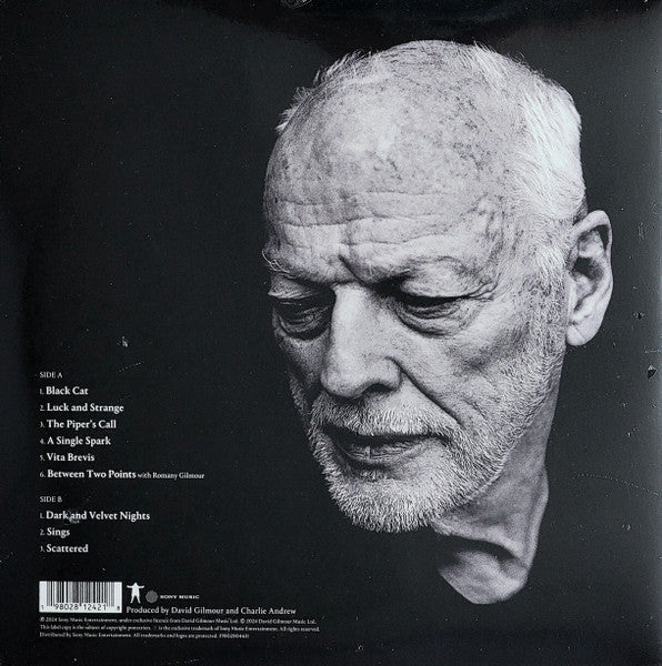 David Gilmour - Luck & Strange (Blue) (Used LP)