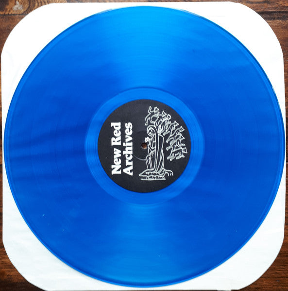 Reagan Youth - Vol. 2 (Blue) (Used LP)