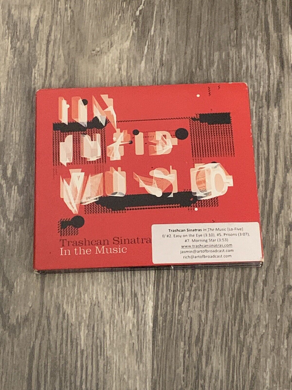 TRASH CAN SINATRAS - IN THE MUSIC