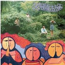 LADYBUG TRANSISTOR - ALBEMARLE SOUND
