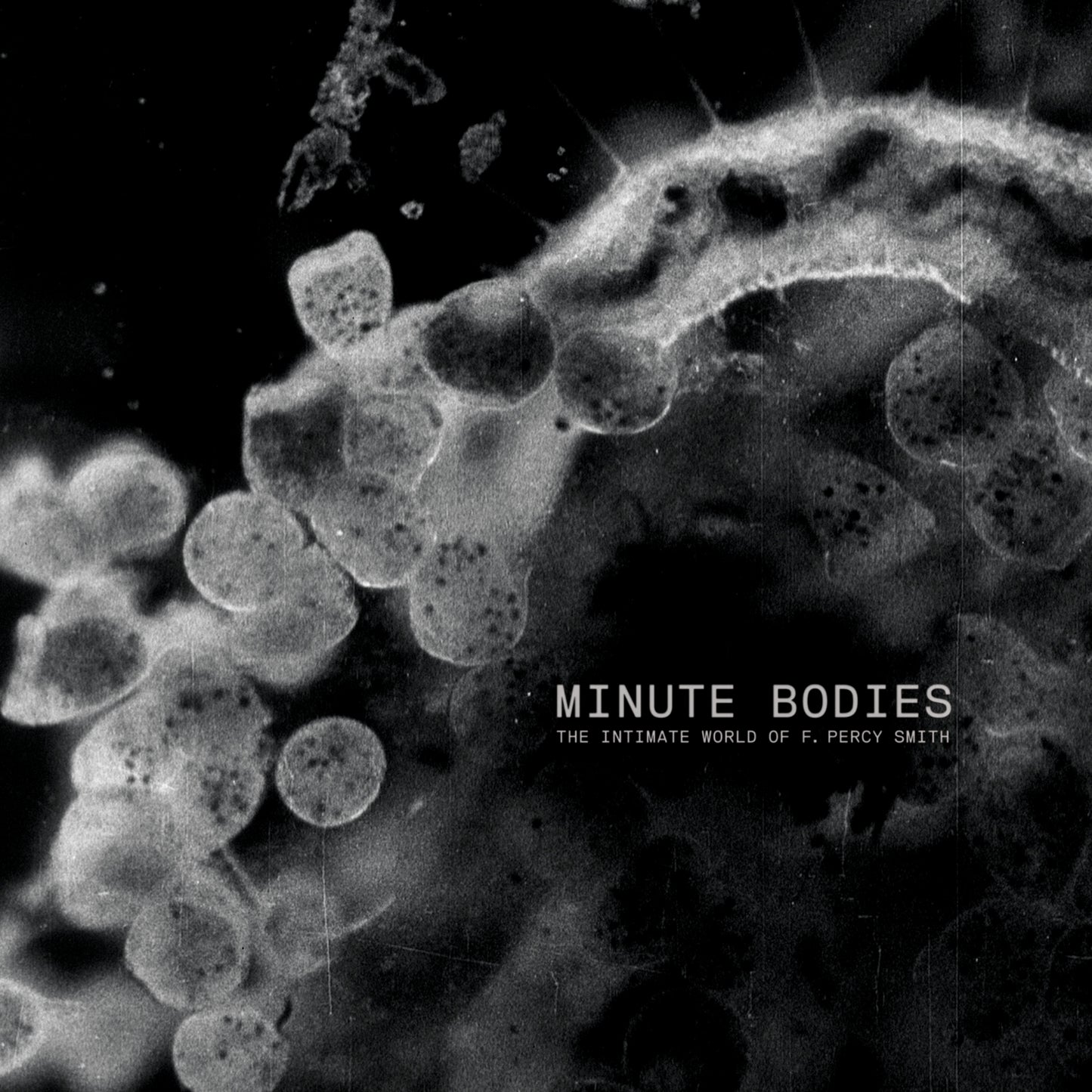 TINDERSTICKS - MINUTE BODIES (CD/DVD)