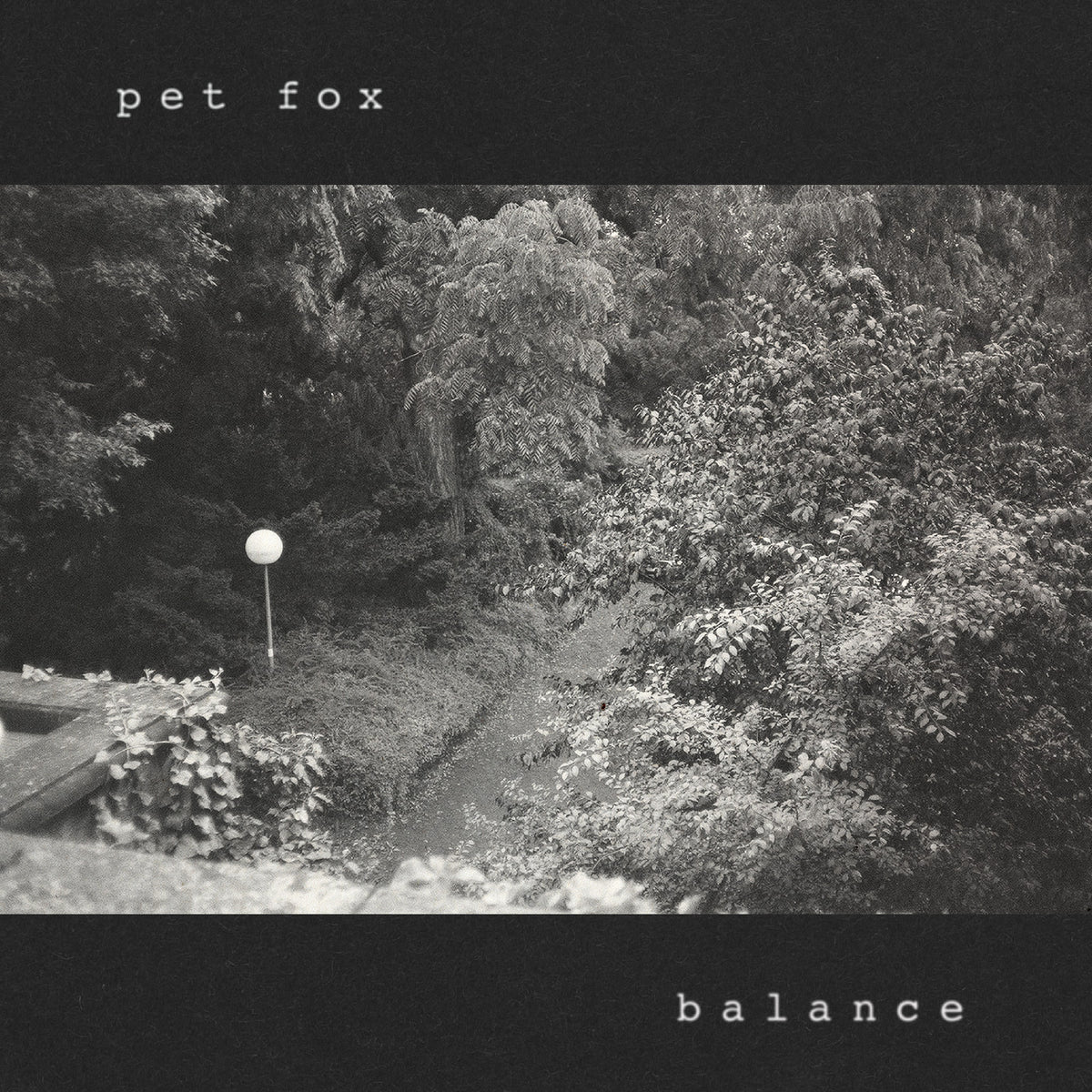 PET FOX - BALANCE (COBWEB COLORED VINYL)