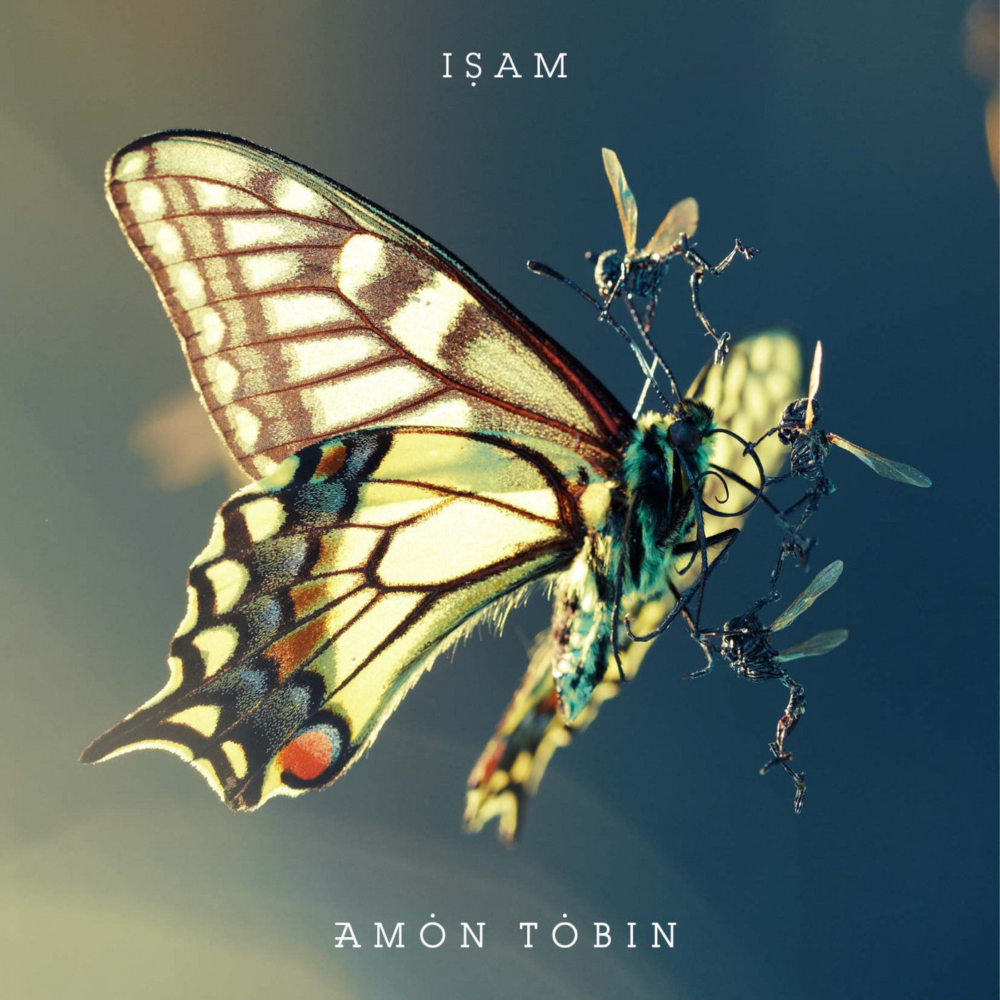 TOBIN, AMON - ISAM (LTD BOOK & CD)