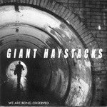 GIANT HAYSTACKS - WE ARE BEING OBSERVED
