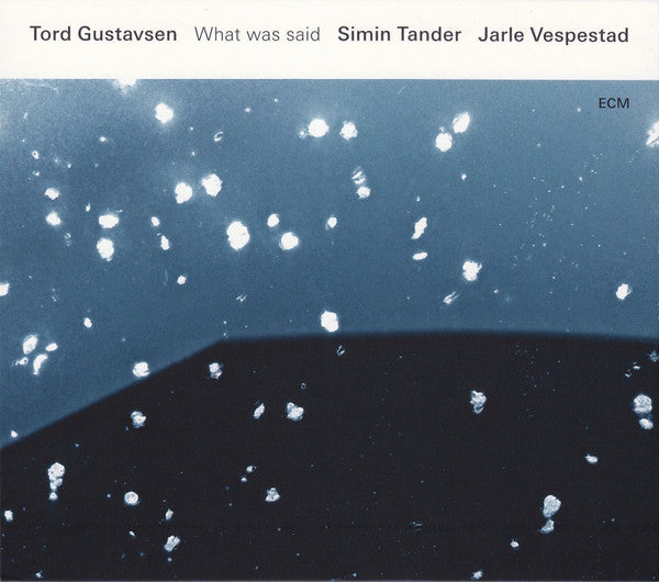 GUSTAVSEN, TORD - WHAT WAS SAID