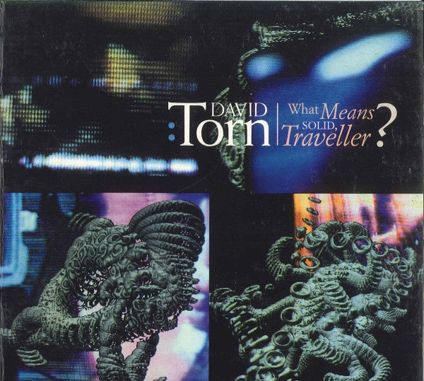 TORN, DAVID - WHAT MEANS SOLID TRAVELLER