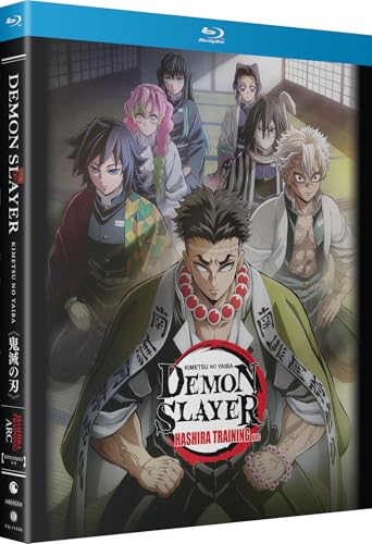 DEMON SLAYER (ANIME) - BLU-HASHIRA TRAINING ARC