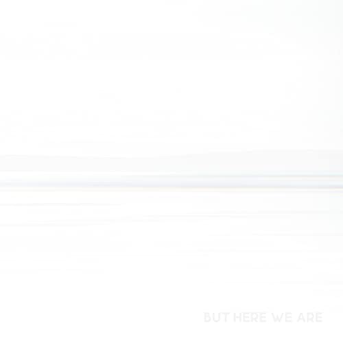 FOO FIGHTERS - BUT HERE WE ARE