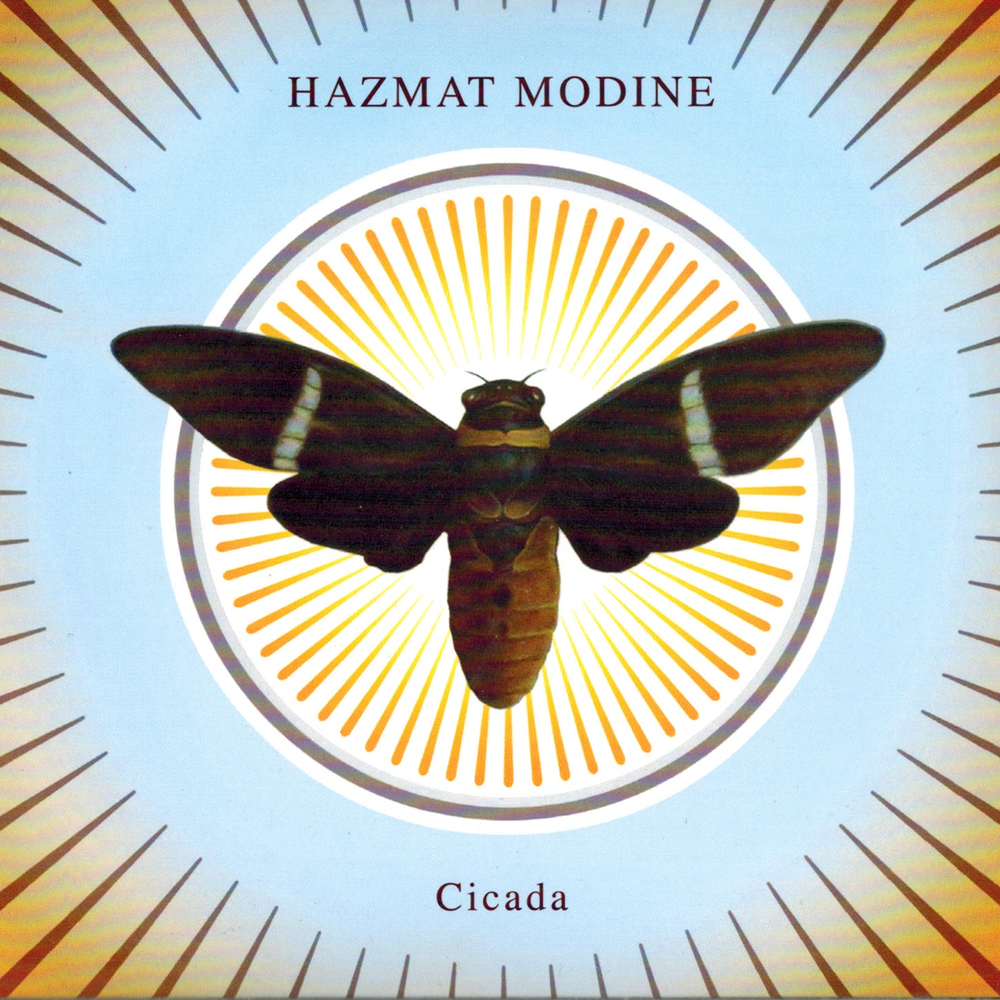 HAZMAT MODINE - CICADA
