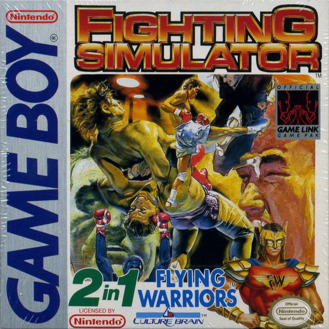 FLYING WARRIORS/FIGHTING SIMULATOR - GB1