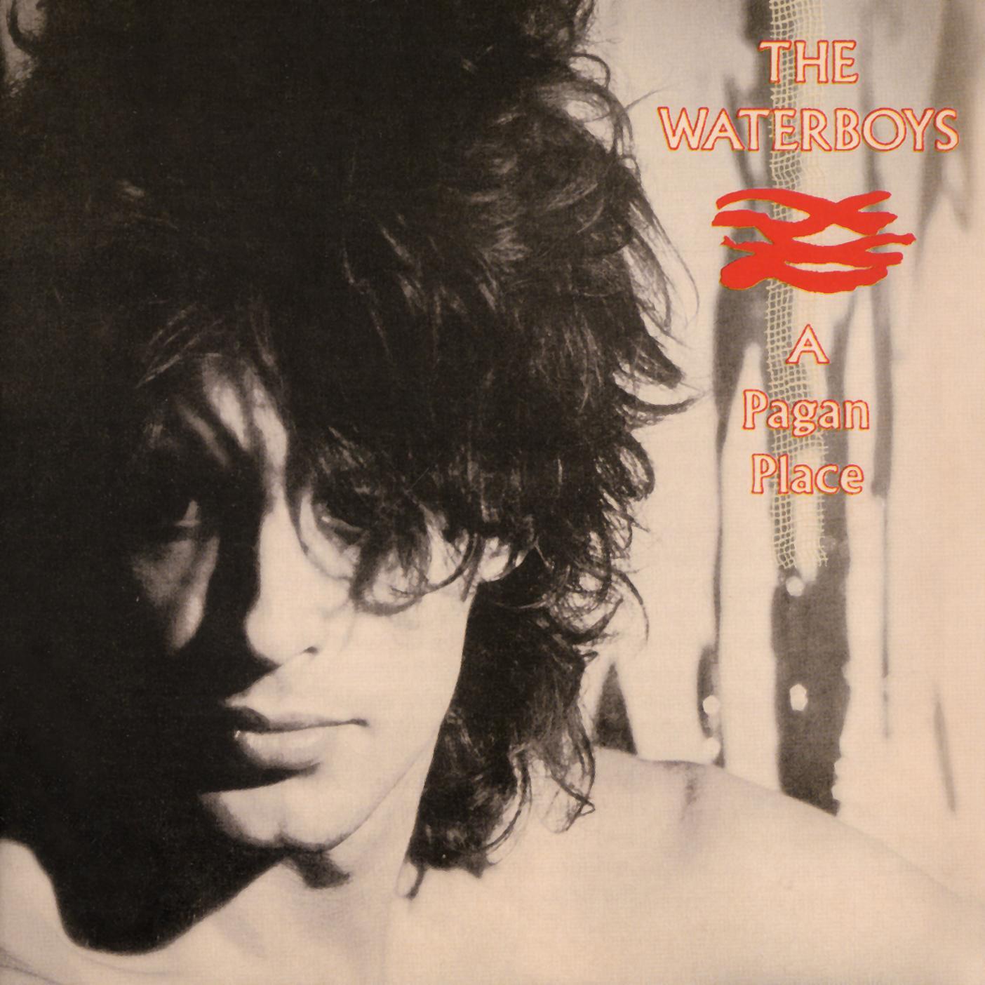 WATERBOYS - A PAGAN PLACE