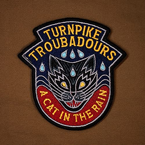 TURNPIKE TROUBADOURS - A CAT IN THE RAIN (CD)