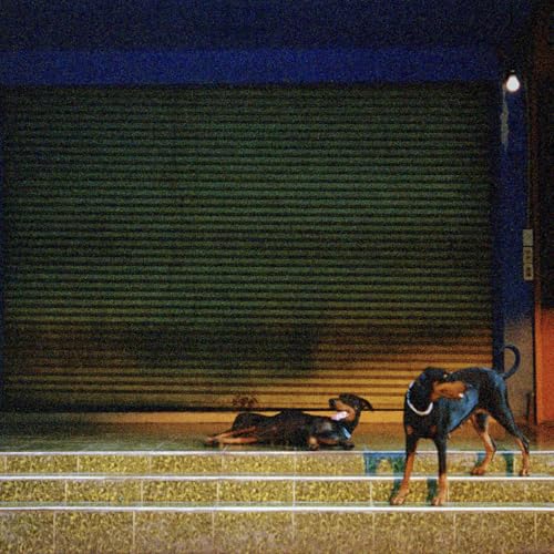 OVERMONO - PURE DEVOTION (VINYL)