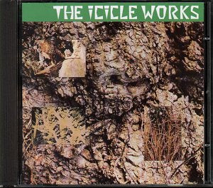 ICICLE WORKS - SAME